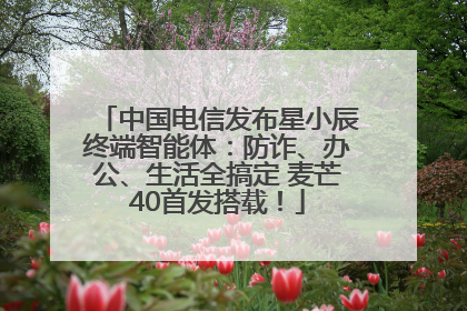 中国电信发布星小辰终端智能体：防诈、办公、生活全搞定 麦芒40首发搭载！