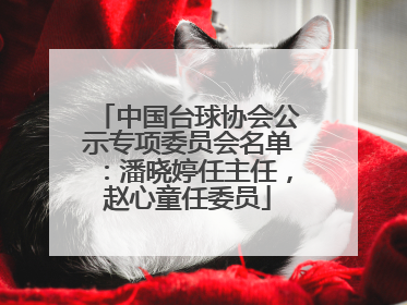 中国台球协会公示专项委员会名单：潘晓婷任主任，赵心童任委员