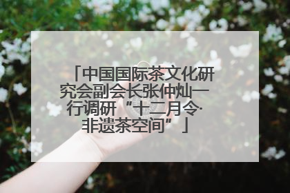 中国国际茶文化研究会副会长张仲灿一行调研“十二月令·非遗茶空间”