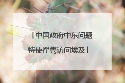 中国政府中东问题特使翟隽访问埃及