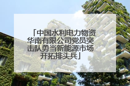 中国水利电力物资华南有限公司党员突击队勇当新能源市场开拓排头兵