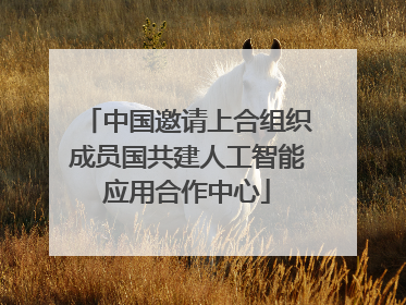 中国邀请上合组织成员国共建人工智能应用合作中心