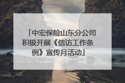 中宏保险山东分公司积极开展《信访工作条例》宣传月活动