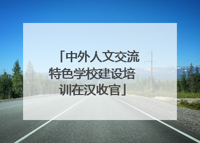 中外人文交流特色学校建设培训在汉收官