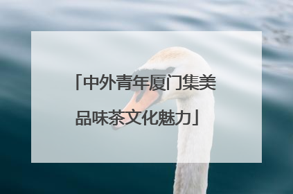 中外青年厦门集美品味茶文化魅力