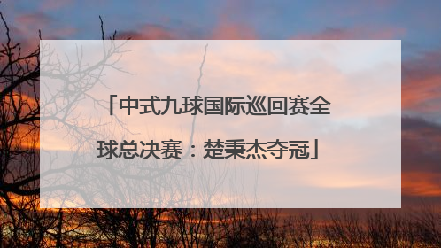 中式九球国际巡回赛全球总决赛：楚秉杰夺冠
