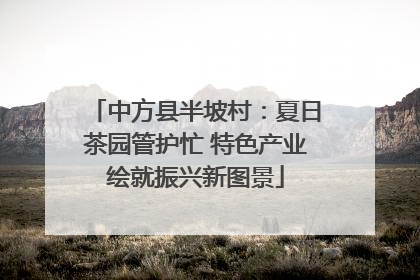 中方县半坡村：夏日茶园管护忙 特色产业绘就振兴新图景