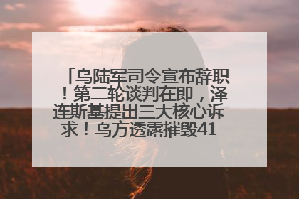 乌陆军司令宣布辞职！第二轮谈判在即，泽连斯基提出三大核心诉求！乌方透露摧毁41架俄战略轰炸机