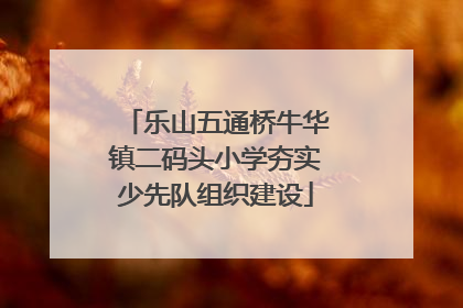 乐山五通桥牛华镇二码头小学夯实少先队组织建设