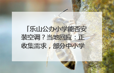 乐山公办小学能否安装空调？当地回应：正收集需求，部分中小学已启动安装｜云求助