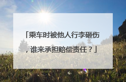 乘车时被他人行李砸伤，谁来承担赔偿责任？