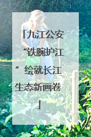 九江公安“铁腕护江”绘就长江生态新画卷