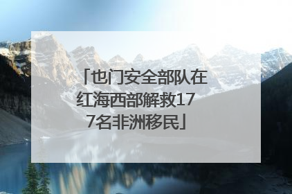 也门安全部队在红海西部解救177名非洲移民