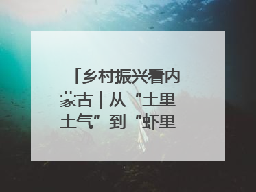 乡村振兴看内蒙古｜从“土里土气”到“虾里虾气” 一田双收模式火出圈