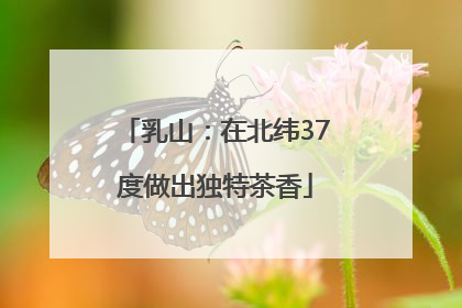 乳山：在北纬37度做出独特茶香