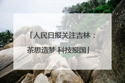 人民日报关注吉林：茶思造梦 科技报国