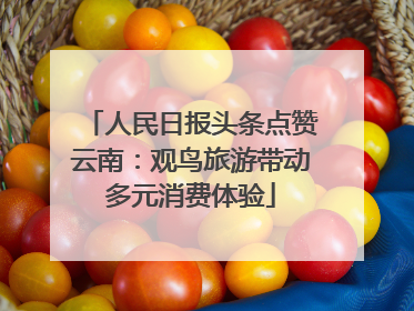 人民日报头条点赞云南：观鸟旅游带动多元消费体验