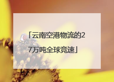 云南空港物流的27万吨全球竞速