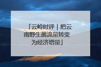 云岭时评｜把云南野生菌流量转变为经济增量