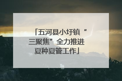 五河县小圩镇“三聚焦”全力推进夏种夏管工作