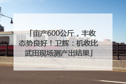 亩产600公斤，丰收态势良好！卫辉：机收比武田现场测产出结果