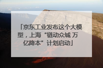 京东工业发布这个大模型，上海“链动众城 万亿降本”计划启动