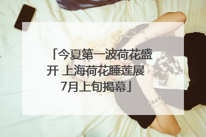 今夏第一波荷花盛开 上海荷花睡莲展7月上旬揭幕
