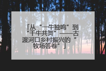 从“一牛独鸣”到“千牛共舞”——古渡河口乡村振兴的“牧场答卷”