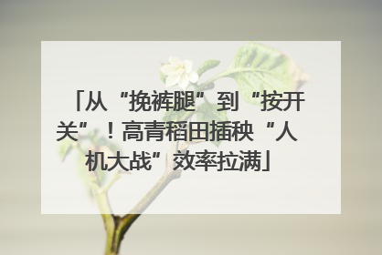 从“挽裤腿”到“按开关”！高青稻田插秧“人机大战”效率拉满