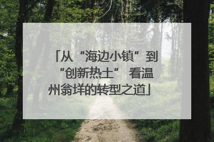 从“海边小镇”到“创新热土” 看温州翁垟的转型之道