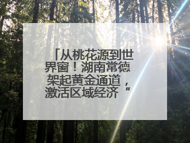 从桃花源到世界窗！湖南常德架起黄金通道，激活区域经济“一池春水”