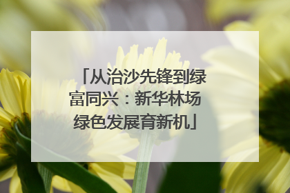 从治沙先锋到绿富同兴：新华林场绿色发展育新机