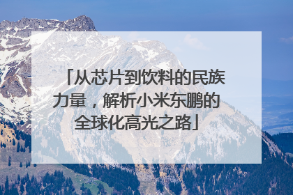 从芯片到饮料的民族力量，解析小米东鹏的全球化高光之路