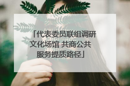 代表委员联组调研文化场馆 共商公共服务提质路径