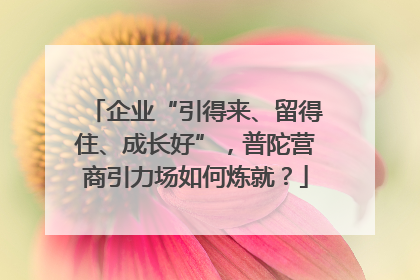 企业“引得来、留得住、成长好”，普陀营商引力场如何炼就？