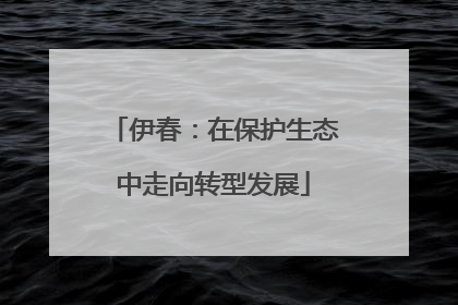 伊春：在保护生态中走向转型发展