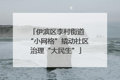 伊滨区李村街道 “小网格”撬动社区治理“大民生”