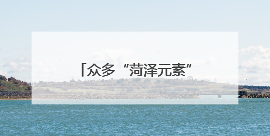 众多“菏泽元素”亮相深圳文博会