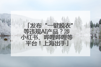 发布“一键脱衣”等违规AI产品？涉小红书、哔哩哔哩等平台！上海出手