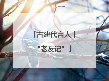 古建代言人丨“老友记”