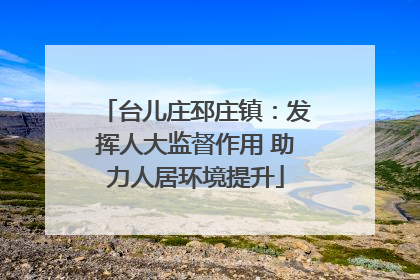 台儿庄邳庄镇：发挥人大监督作用 助力人居环境提升