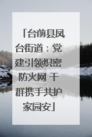 台前县凤台街道：党建引领织密防火网 干群携手共护家园安