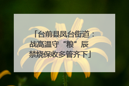 台前县凤台街道：战高温守“粮”辰 禁烧保收多管齐下