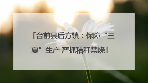 台前县后方镇：保障“三夏”生产 严抓秸秆禁烧