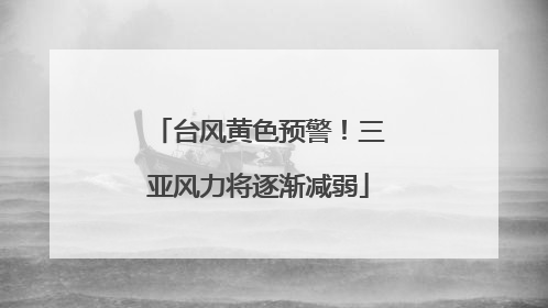 台风黄色预警！三亚风力将逐渐减弱