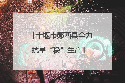 十堰市郧西县全力抗旱“稳”生产