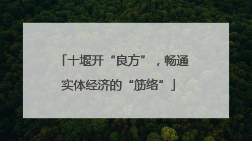 十堰开“良方”，畅通实体经济的“筋络”