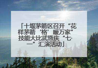 十堰茅箭区召开“花样茅箭‘格’暖万家”技能大比武暨庆“七·一”汇演活动