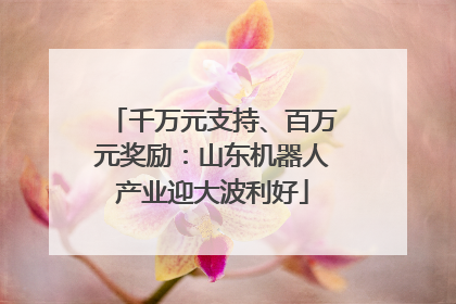 千万元支持、百万元奖励：山东机器人产业迎大波利好