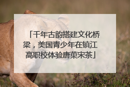 千年古韵搭建文化桥梁，美国青少年在镇江高职校体验唐菓宋茶
